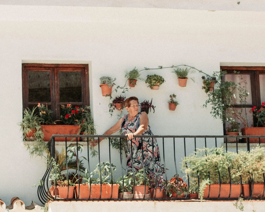 Do houseplants clean the air?