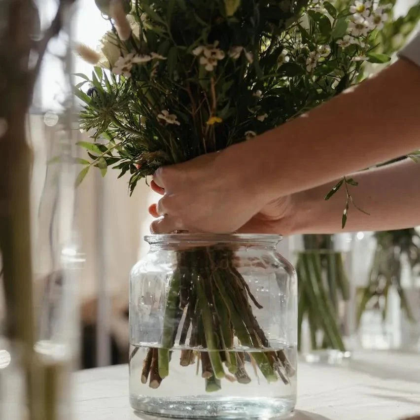 Houseplants Made Easy: The Ultimate Guide to Hydroponic Houseplants