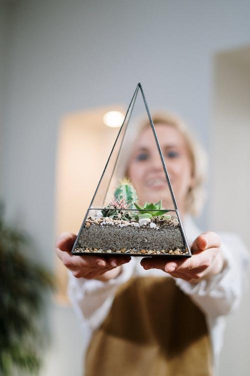 Top 10 Most Gifted Plants for Plant Lovers