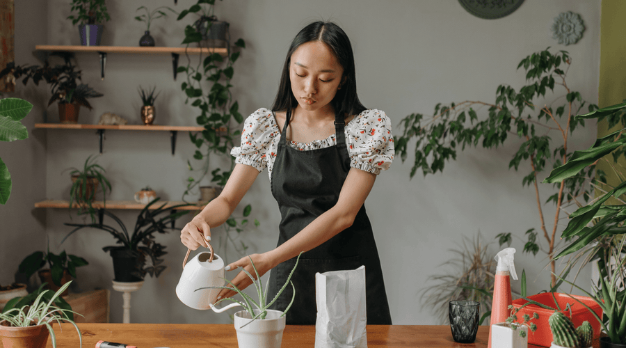 Plant Care and Maintenance: An Ultimate Guide