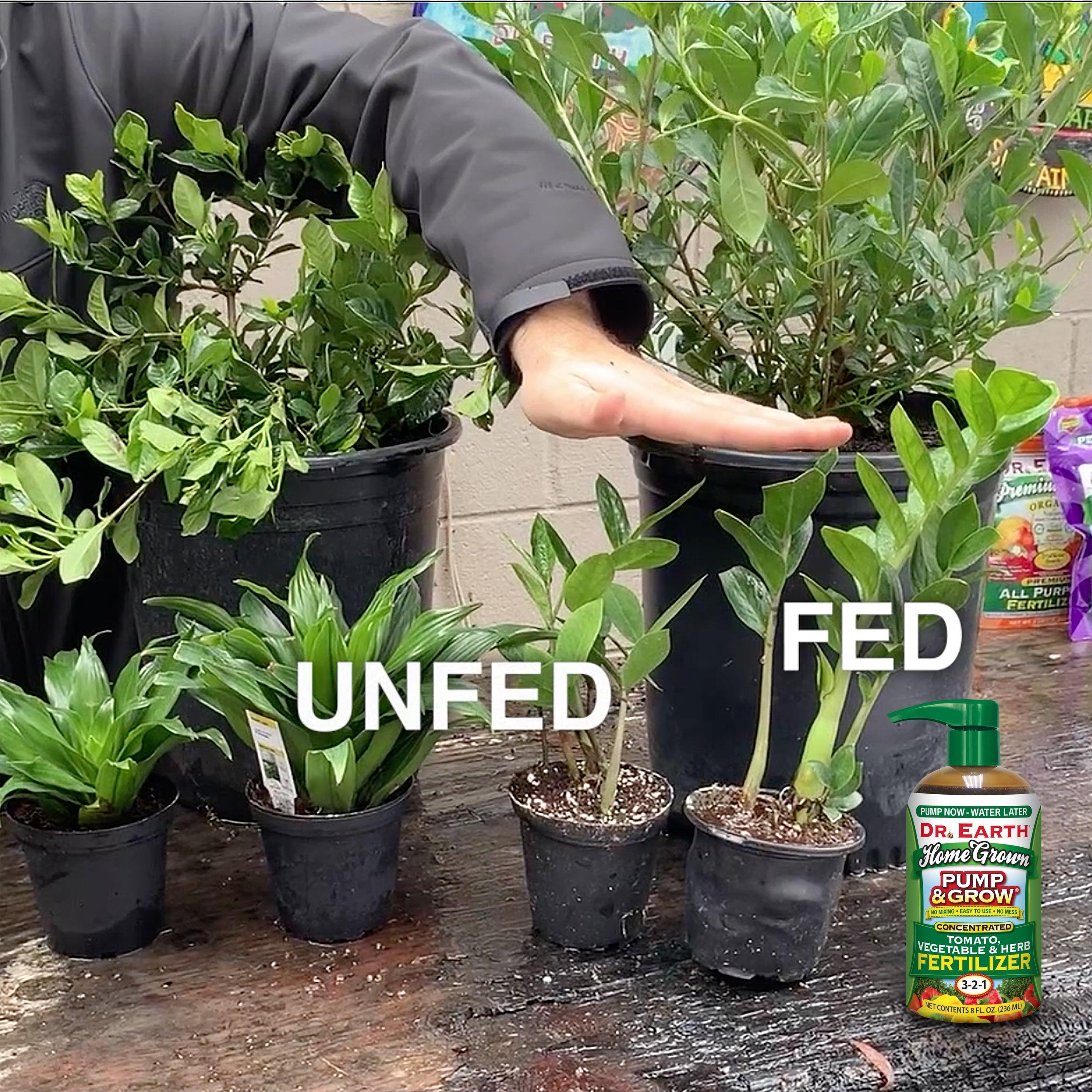 Pump & Grow Liquid-Concentrate Organic Plant Food Fertilizer, 8 Oz. - Bumble Plants