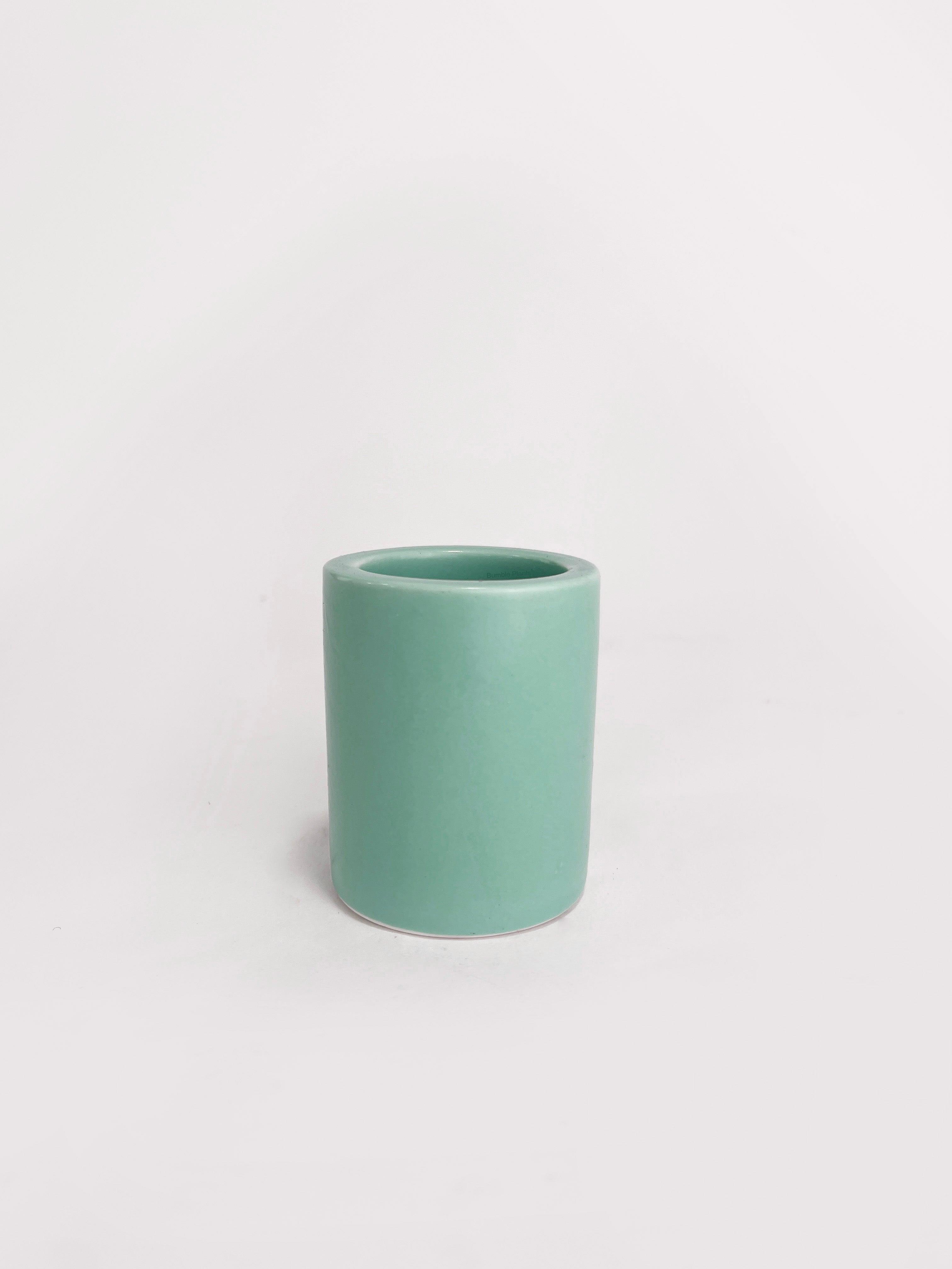 Tillandsia Air Plant Holder - Bumble Plants