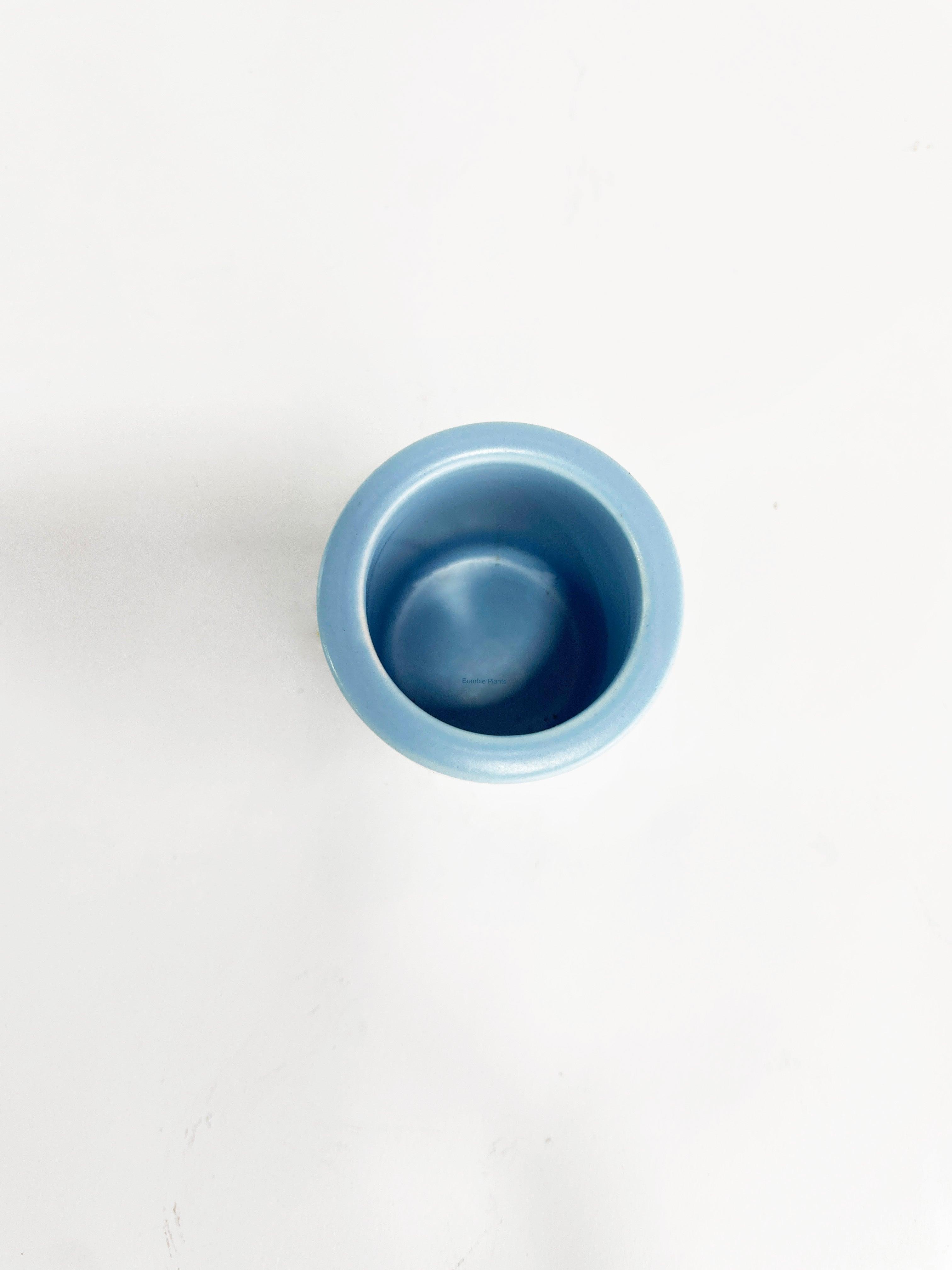 Tillandsia Air Plant Holder - Bumble Plants