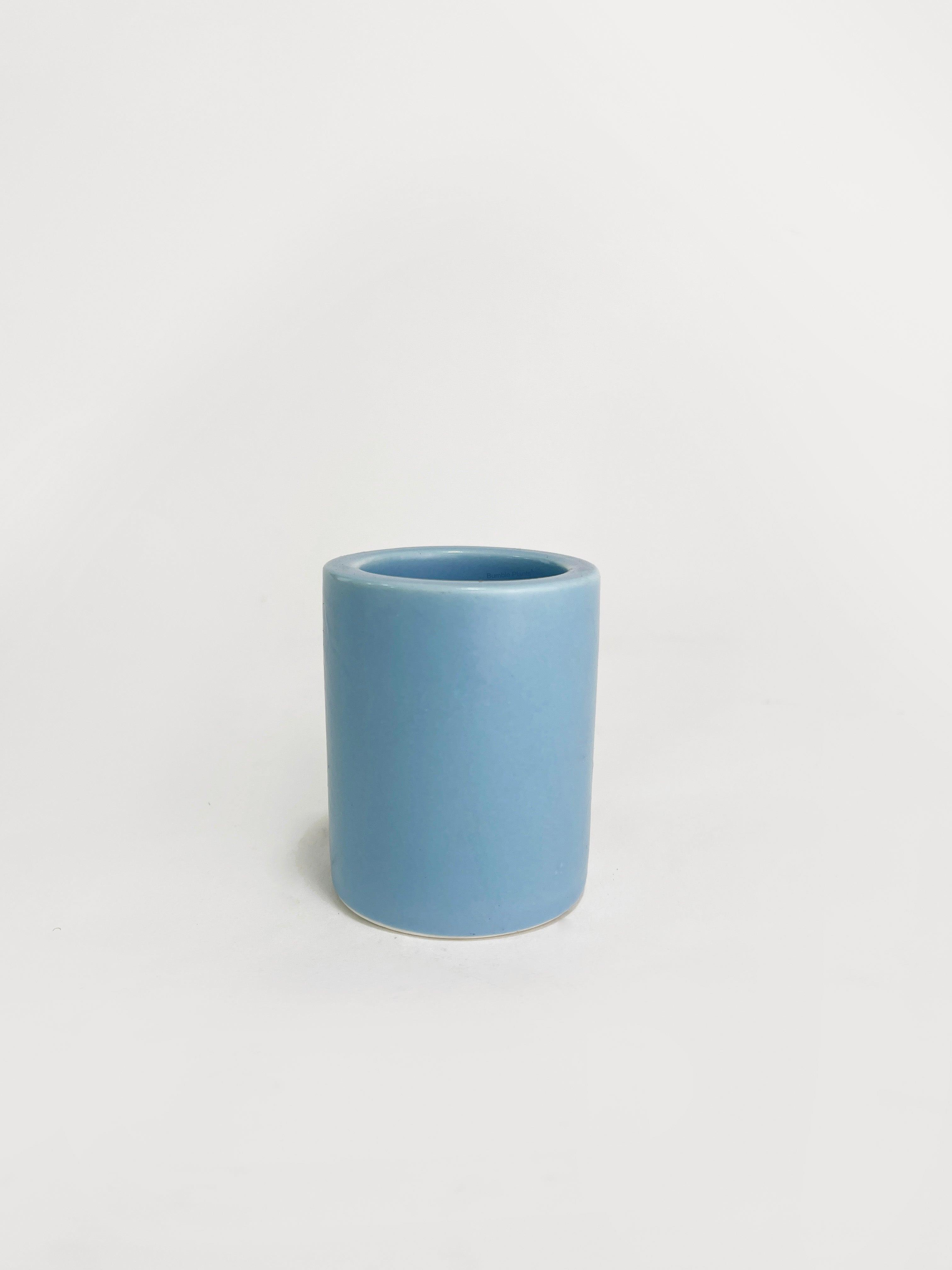 Tillandsia Air Plant Holder - Bumble Plants