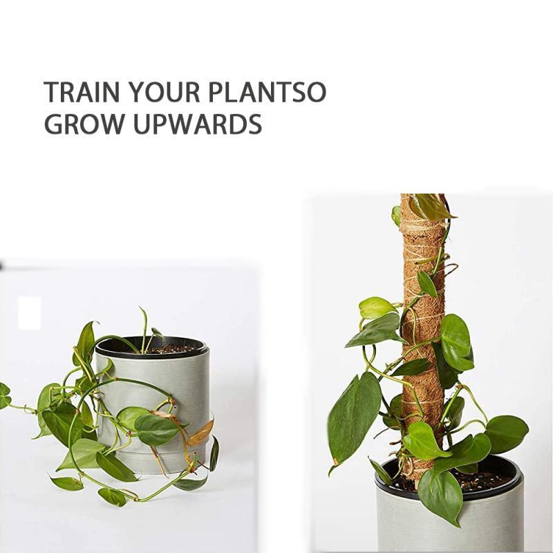 Coco Coir Climbing Pole - Bumble Plants