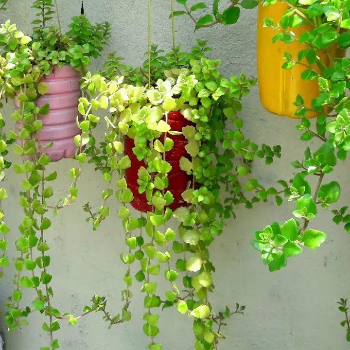 How to Create a Hanging String of Hearts Display, Hanging String
