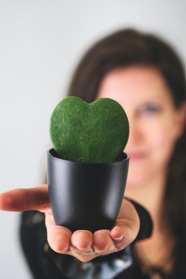 48 Best Birthday Gifts for Plant Lovers  (based on interests)