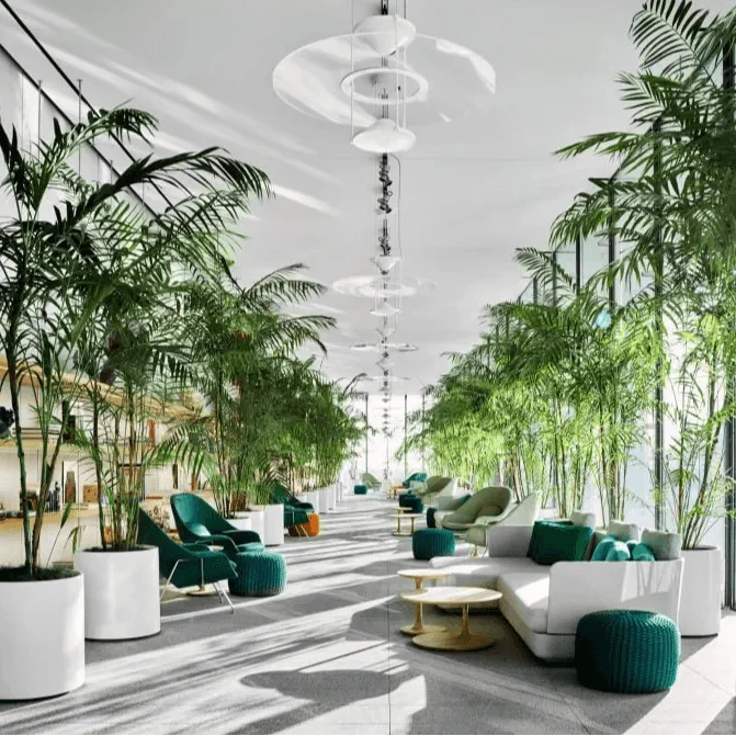 The Essential Guide to Picking the Best Indoor Trees for Your Living Space