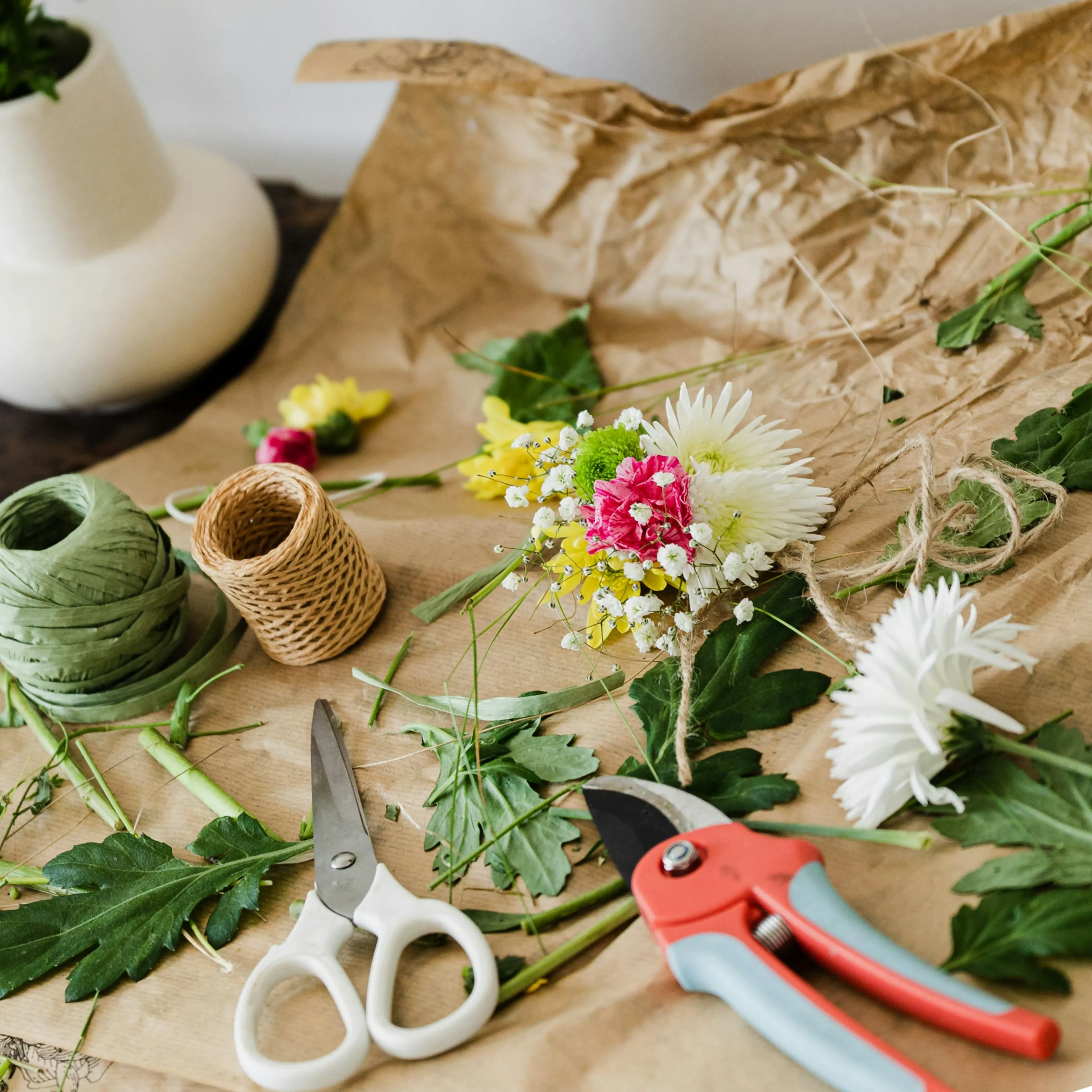 The Must-Have Tools for Indoor Plant Care: A Beginner's Guide  Bumble  Plants