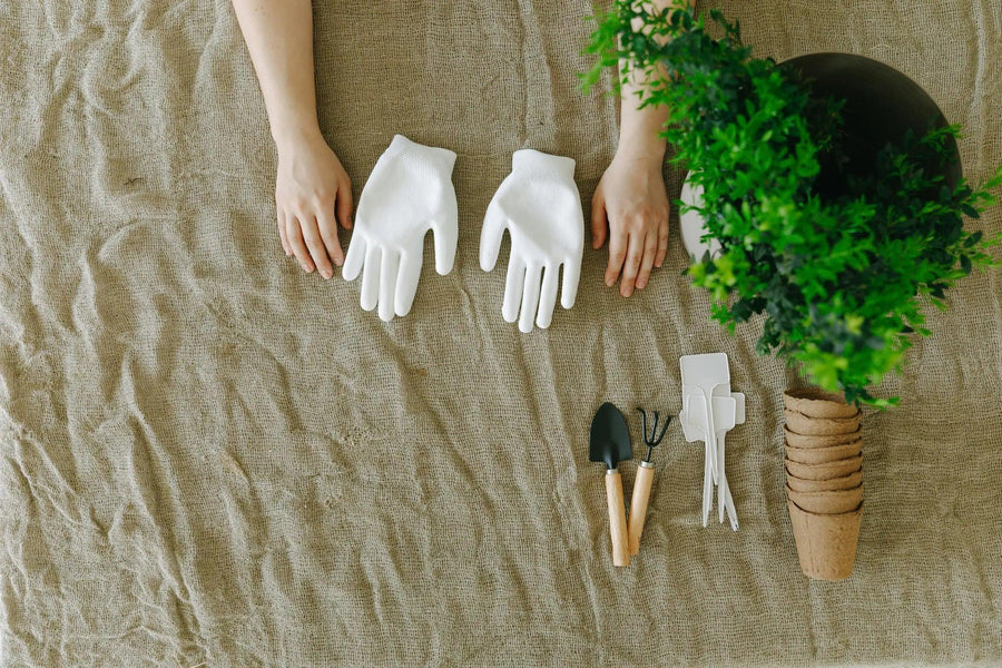 The Gardener's Arsenal: Tools for Plant Care Made Easy