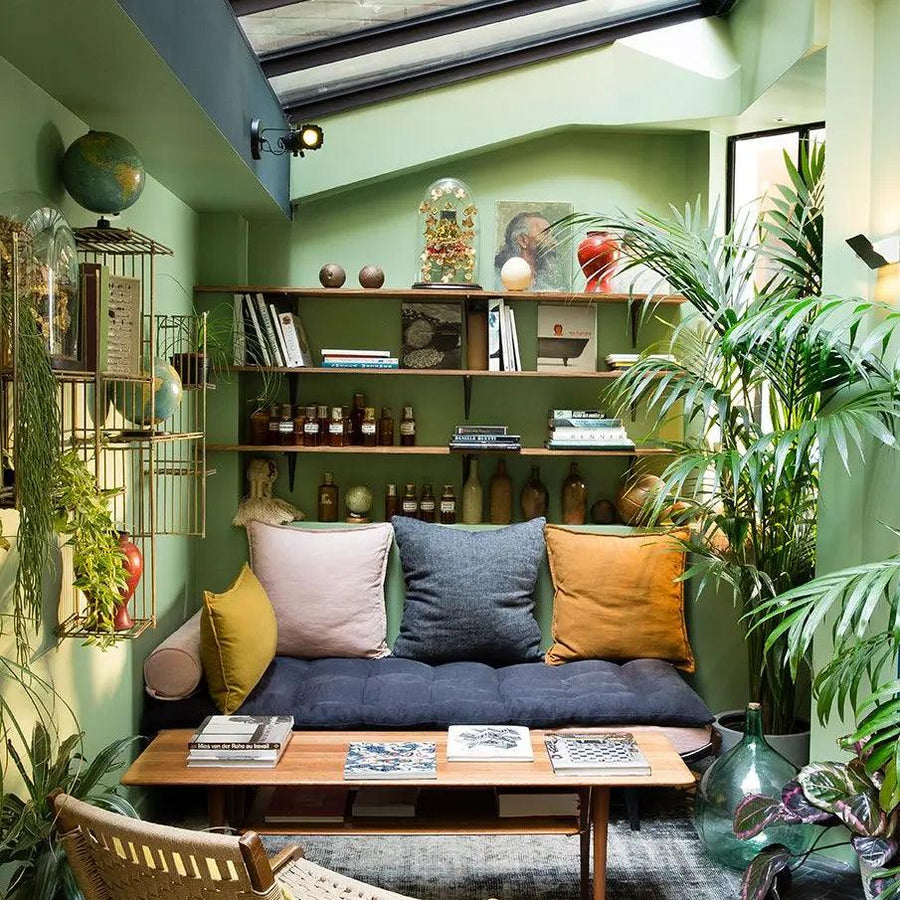Why You Need a Plant Sitters and How to Hire the Best One