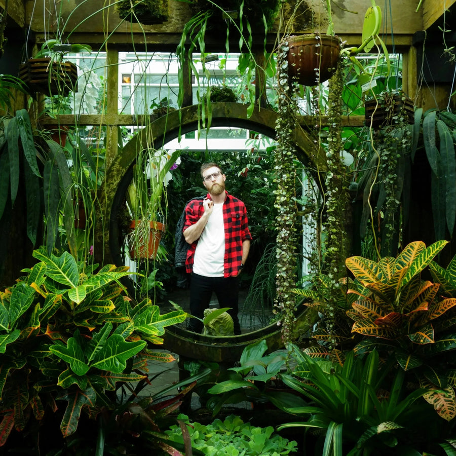 Creating a Thriving Indoor Jungle: Tips for Designing a Plant Oasis