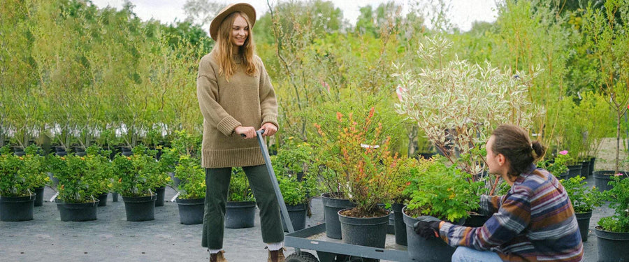Seasonal Plant Care - Adapting to Changing Seasons