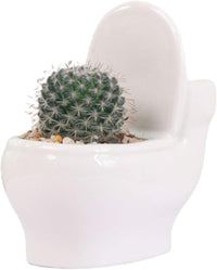 Ceramic White Toilet Plant Pot/Bonsai Pot/Flower Pot/Succulent Planter 4.6" Ideal Gifts for Women, Mom or Birthdays