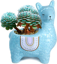 Cute Llama Ceramic Succulent Planter/Plant Pot/Flower Pot/Bonsai Pot, Sky Blue
