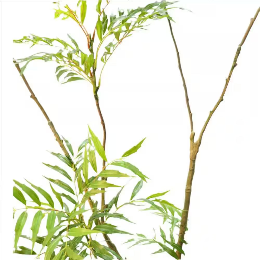 5.9 Ft. Artificial Mahonia Fortunei Tree, Fake Plants with Planter, Faux Floor Plants
