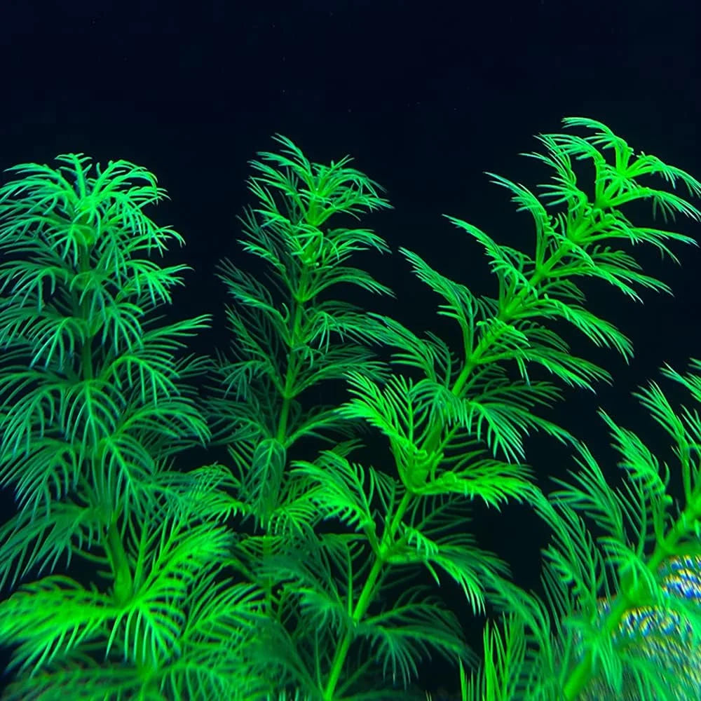 Fish Tank Decorations Plants, 11Pcs Aquarium Decorations Plants, Fish Aquarium Decor Artificial Plant, Fish Aquarium Accessories