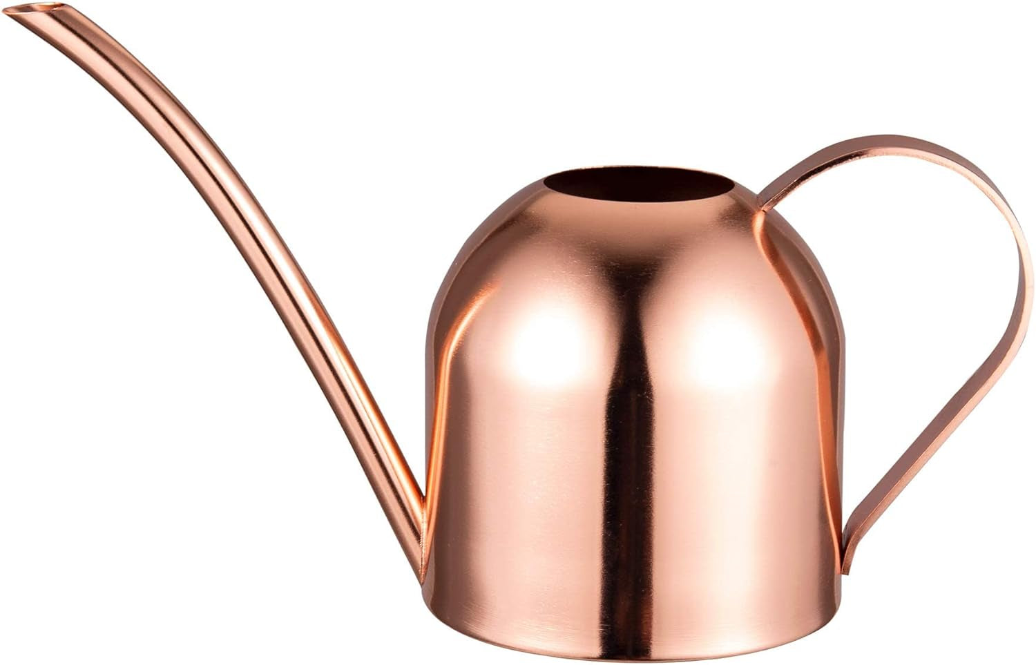 Small Watering Can for Indoor Plants Stainless Steel Indoor Watering Can with Long Spout, 15Oz/450Ml