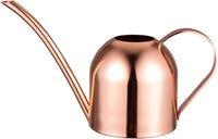 Small Watering Can for Indoor Plants Stainless Steel Indoor Watering Can with Long Spout, 15Oz/450Ml