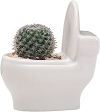 Ceramic White Toilet Plant Pot/Bonsai Pot/Flower Pot/Succulent Planter 4.6" Ideal Gifts for Women, Mom or Birthdays