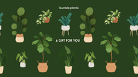 Bumble Plants Gift Card - Bumble Plants
