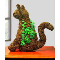 Long Fibered Sphagnum Moss 432 Cu. In. - Bumble Plants
