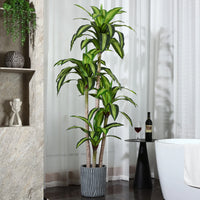 Artificial Plants, 6Ft Fake Dracaena Tree in Black Plastic Pot, Faux Plants Indoor Outdoor Decor, Silk Plants for Home Decor Office Porch Patio Perfect Housewarming Gift