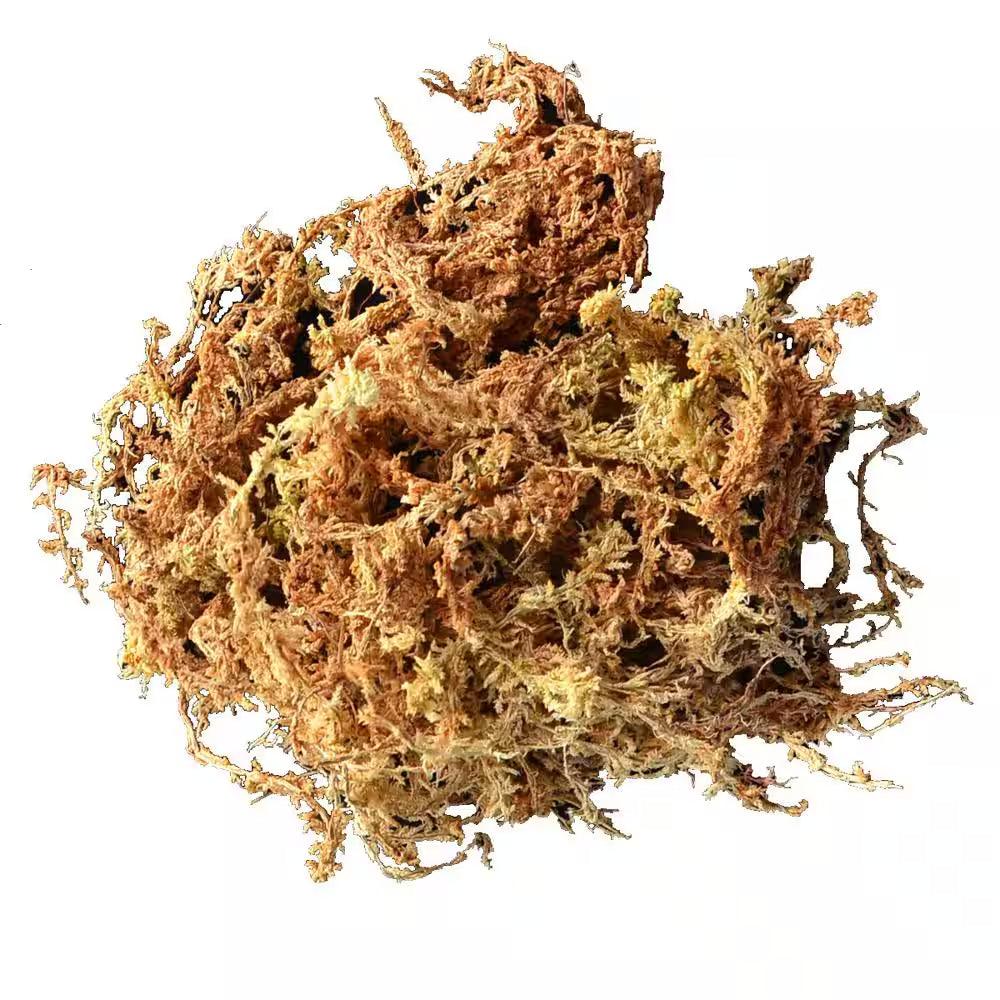 Long Fibered Sphagnum Moss 432 Cu. In. - Bumble Plants