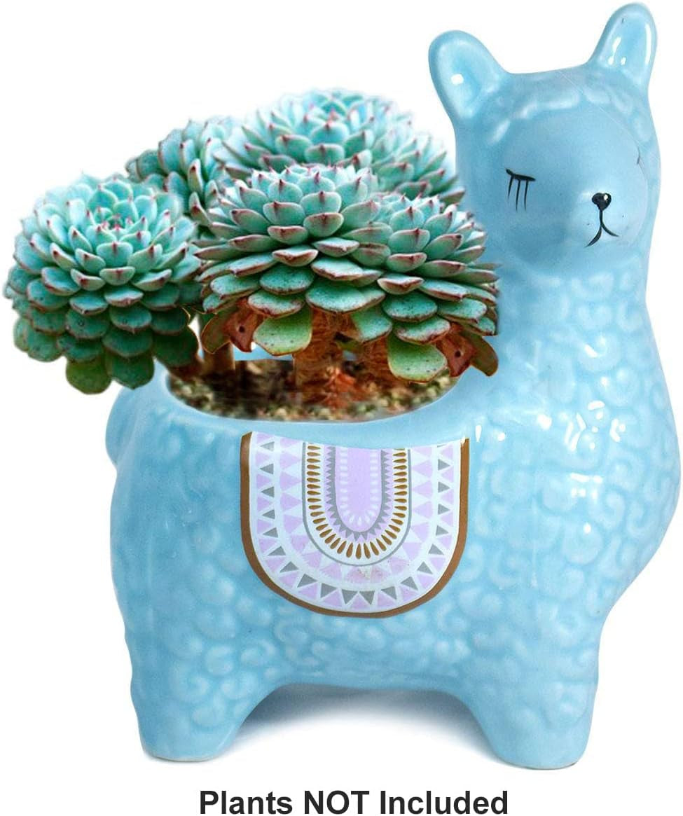 Cute Llama Ceramic Succulent Planter/Plant Pot/Flower Pot/Bonsai Pot, Sky Blue