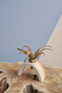 Ceramic Hope Tillandsia Holder - Bumble Plants