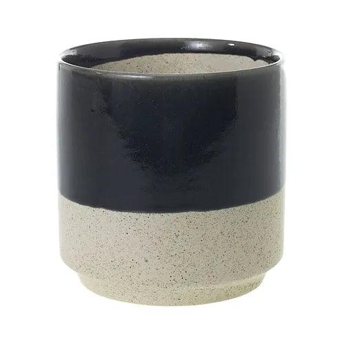 Miguel Black Pot - Bumble Plants