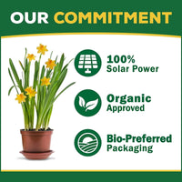 Organic Potting Soil Mix -8 QT - Bumble Plants