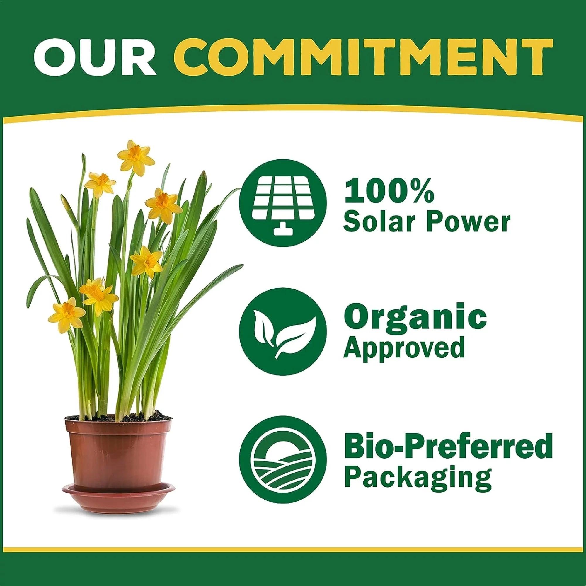 Organic Potting Soil Mix -8 QT - Bumble Plants
