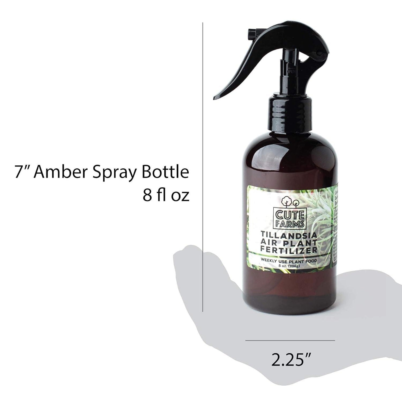 air plant food spray Live Tillandsia Air Plant Fertilizer