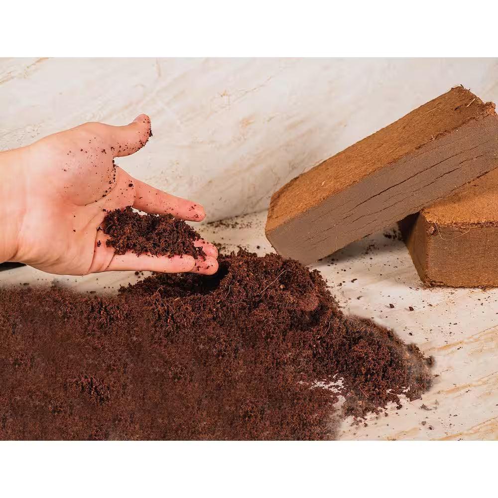 potting mix coconut coir 100% Organic Coco Coir Briquette Potting Soil (3-Pack)