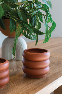 Terracotta Motley Pot - Bumble Plants