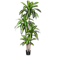 Artificial Plants, 6Ft Fake Dracaena Tree in Black Plastic Pot, Faux Plants Indoor Outdoor Decor, Silk Plants for Home Decor Office Porch Patio Perfect Housewarming Gift