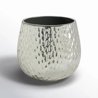 Supernova Silver Pot - Bumble Plants