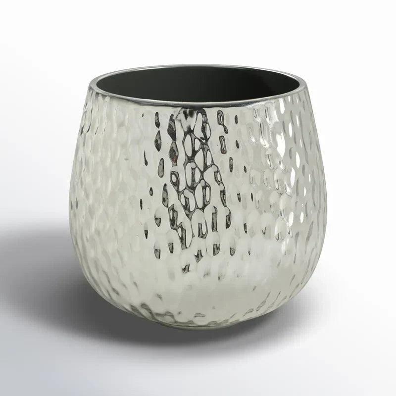 Supernova Silver Pot - Bumble Plants