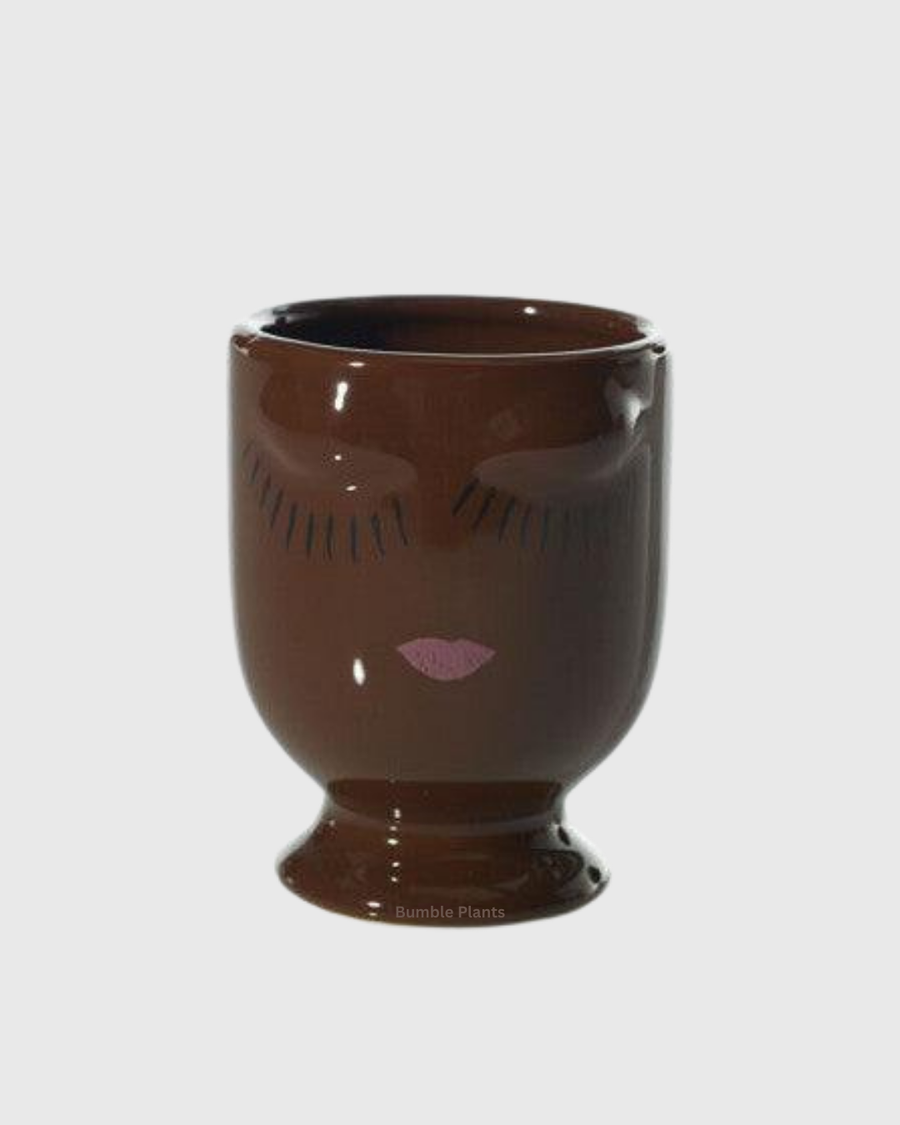 Celfie Espresso Pot