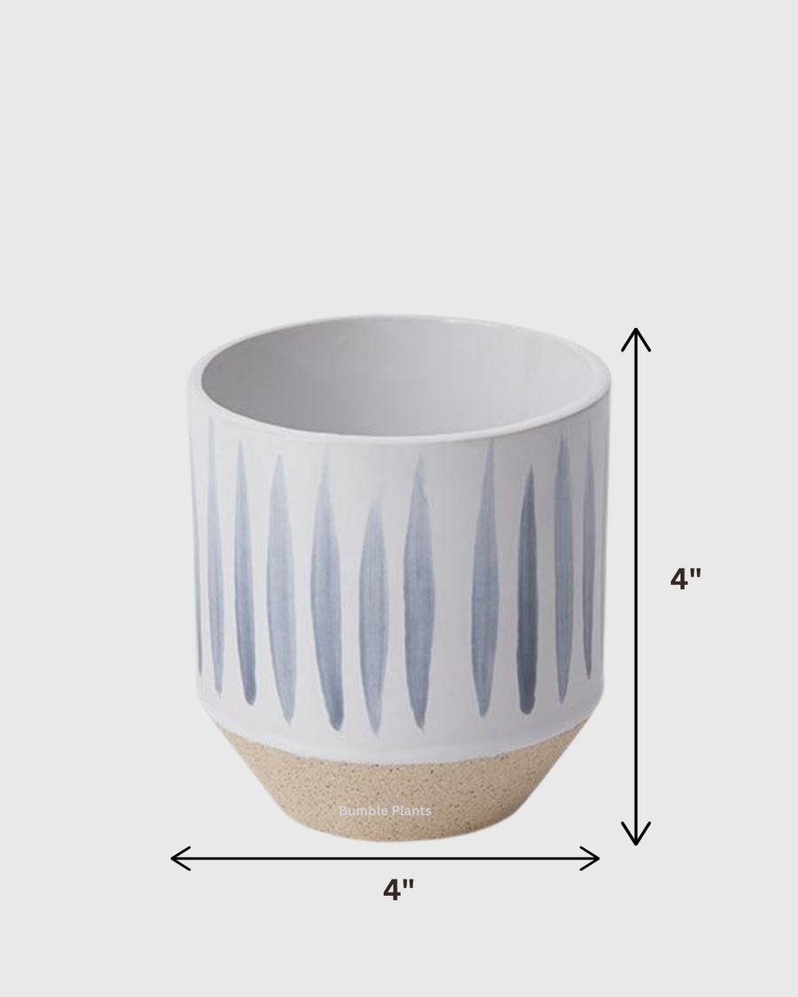 Cyra Pot
