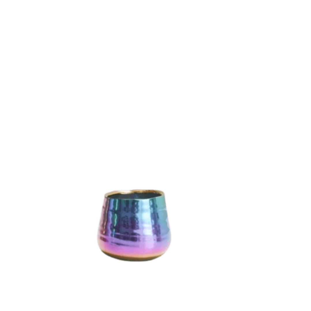 Iridescent Teagan Pot - Bumble Plants