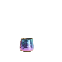 Iridescent Teagan Pot - Bumble Plants