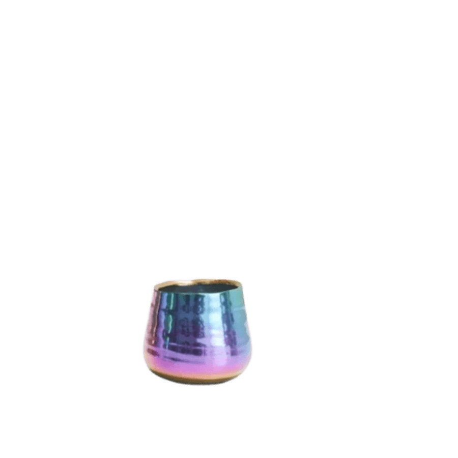 Iridescent Teagan Pot - Bumble Plants