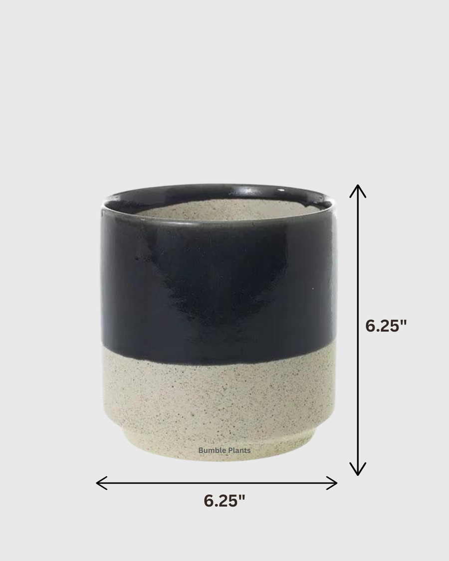 Miguel Black Pot