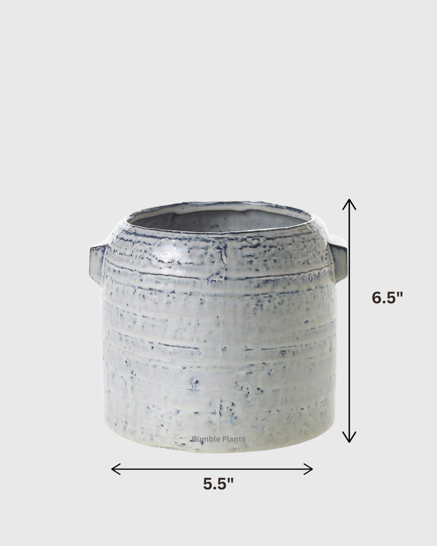 Pier Pot