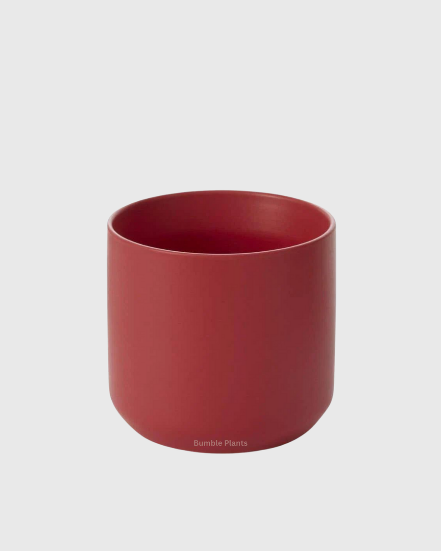 Red Kendall Pot