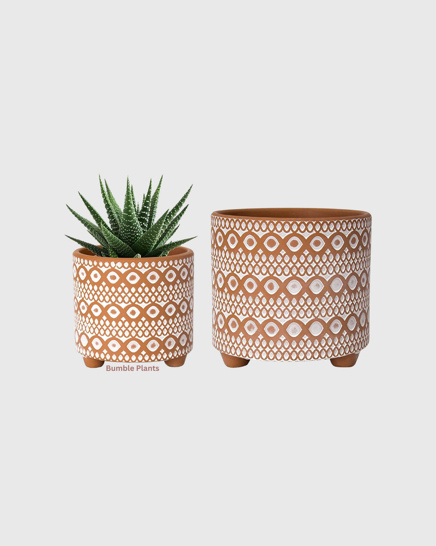 Moroccan Terracotta Planters | Bumble Plants