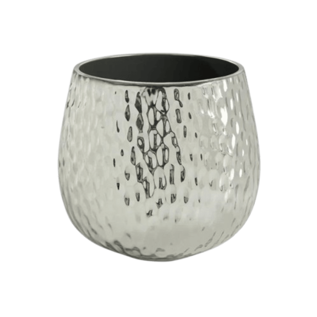 Supernova Silver Pot - Bumble Plants