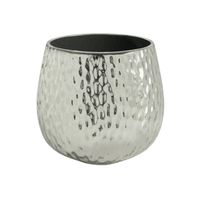 Supernova Silver Pot - Bumble Plants